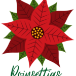 poinsettias graphic